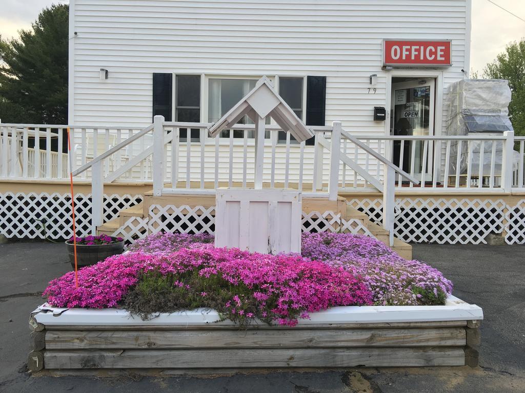 Knotty Pine Motel ソールズベリー エクステリア 写真